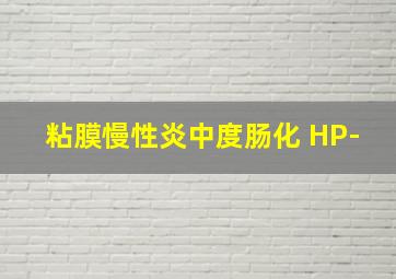 粘膜慢性炎中度肠化 HP-